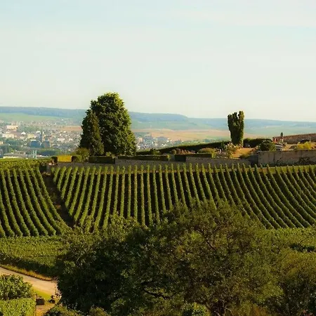 La Bulle Millesimee - A Deux Pas De La Gare Et De L'avenue De Champagne Apartmán *