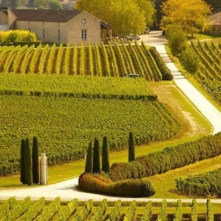 Apartmán La Bulle Millesimee - A Deux Pas De La Gare Et De L'avenue De Champagne *